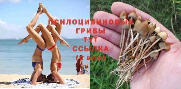 a pvp Инта