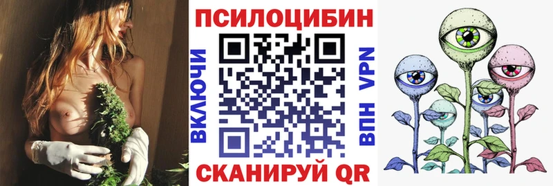 купить закладку  Иннополис  Псилоцибиновые грибы прущие грибы 